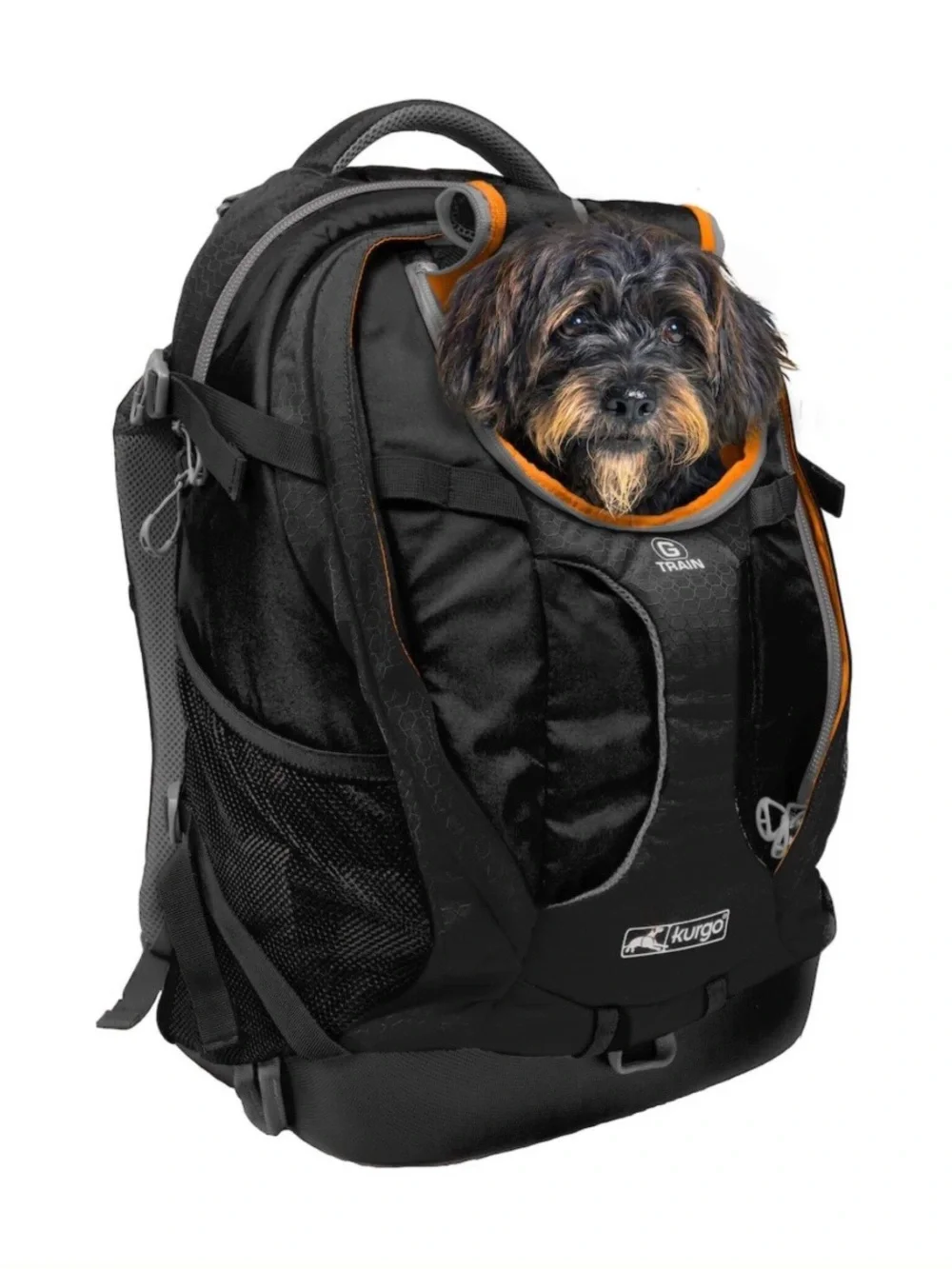 Kurgo G-Train Black and Orange Travel Backpack for Men